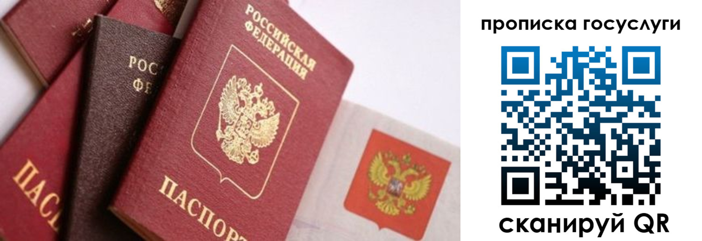 прописка законно в Липецке